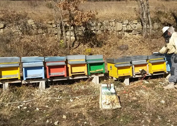 La Maison De Michele Lägenhet *